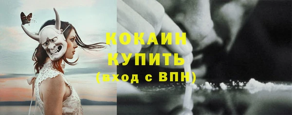 индика Михайловка