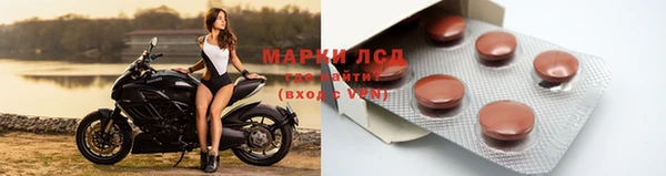 индика Михайловка