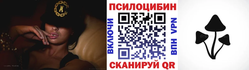 blacksprut онион  Нефтегорск  Галлюциногенные грибы ЛСД 